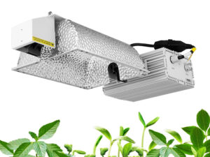 SINOWELL 1000w Grow Light