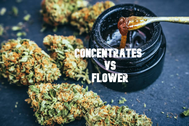 Vaping concentrates vs flower