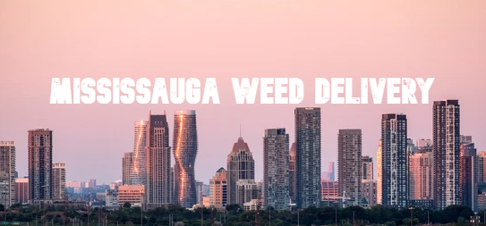 Mississauga Weed Delivery