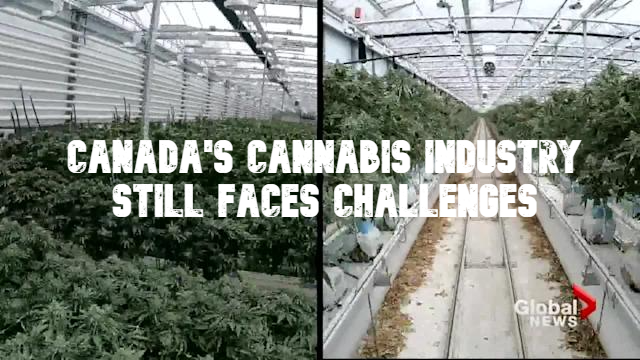 Canada's Cannabis Industry Challenges