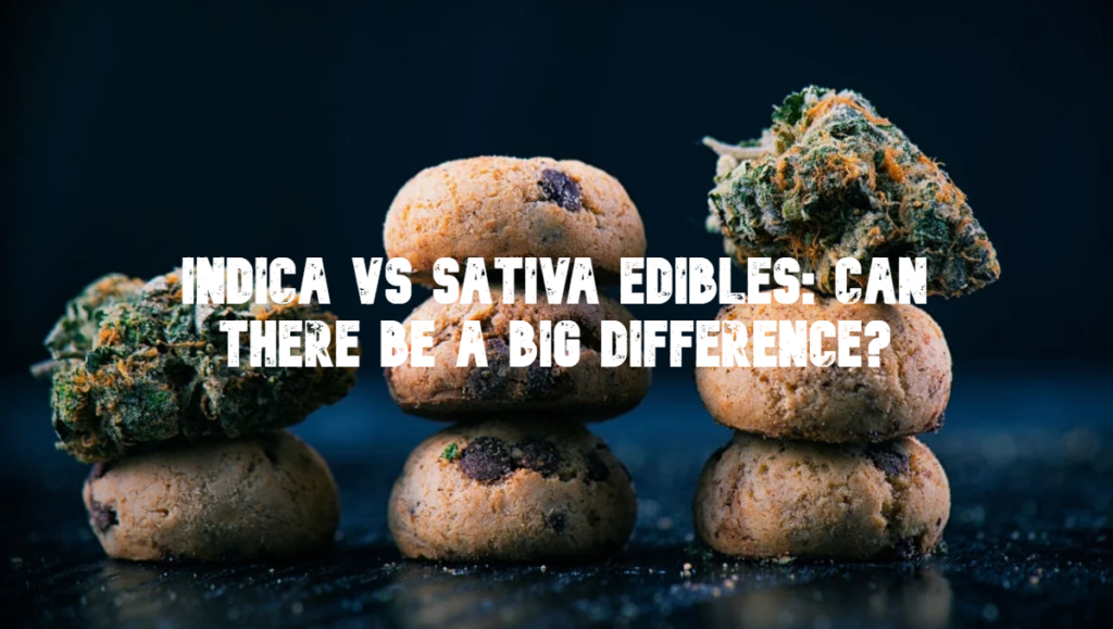 Indica vs Sativa edibles - Can there be a big difference?Indica vs Sativa edibles - Can there be a big difference?