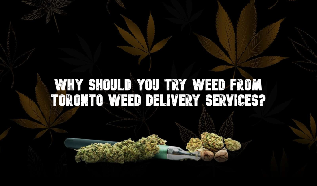 Why should you Try Weed from Toronto Weed delivery Services?