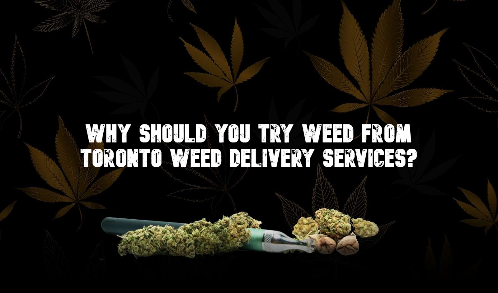 Why should you Try Weed from Toronto Weed delivery Services?