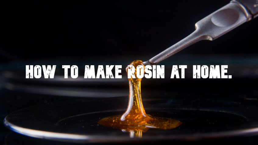 How To Make Rosin At Home