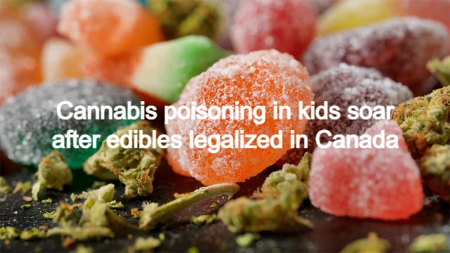 Cannabis poisoning in kids soar after edibles legalized in Canada