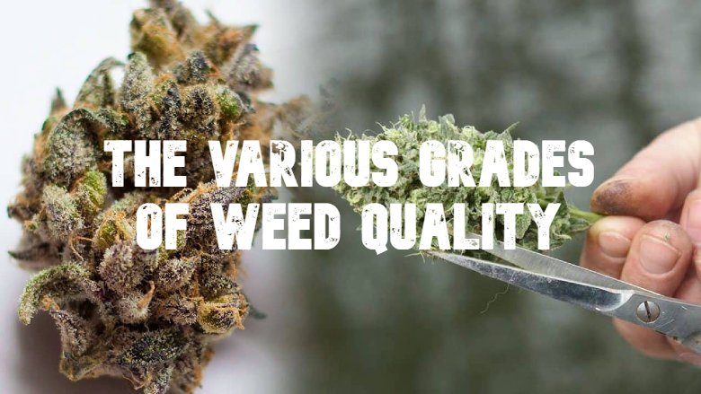 The various Grades of Weed Quality