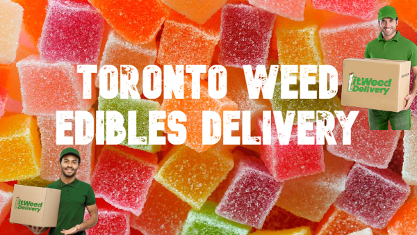 Toronto Weed Edibles Delivery