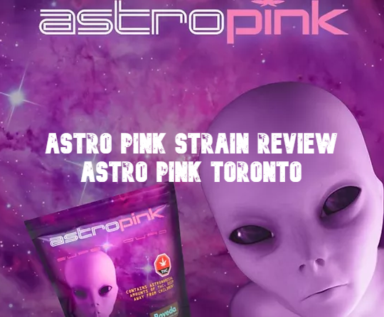 Astro Pink Strain Review