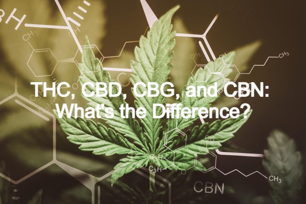 THC vs CBD vs CBG and CBN