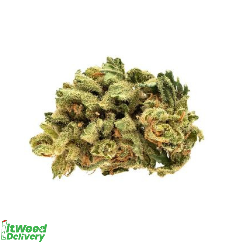 Starwalker Kush By Good Supply - Lit Weed Delivery