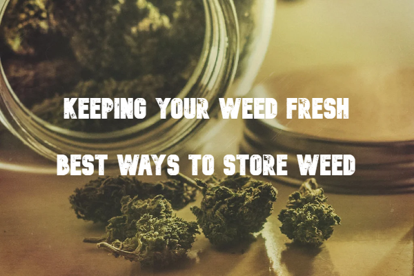 Keeping Your Weed Fresh - Best Ways To Store Weed