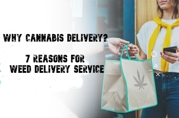 Why Cannabis Delivery?