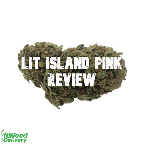 Lit Island pink review