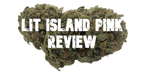 Lit Island pink review