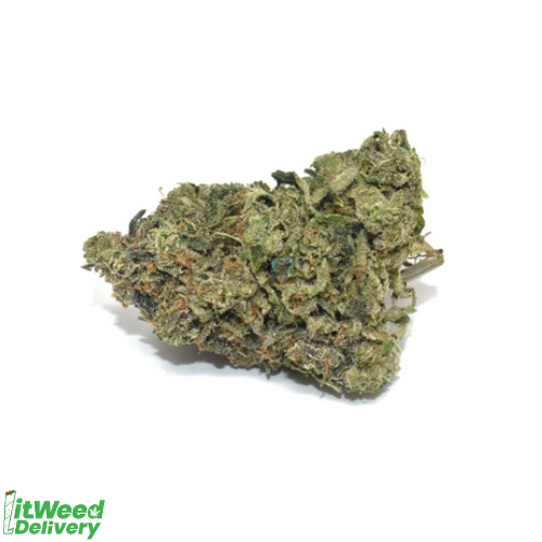 Gorilla Glue #4 AA