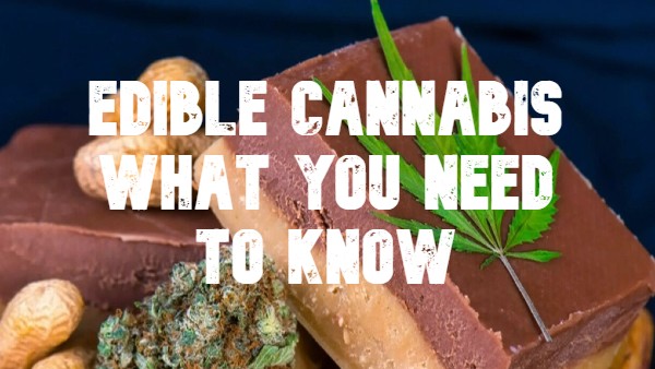 Edible Cannabis - What you need to Know