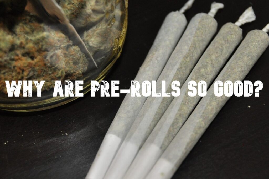 Why are Pre-rolls so good?