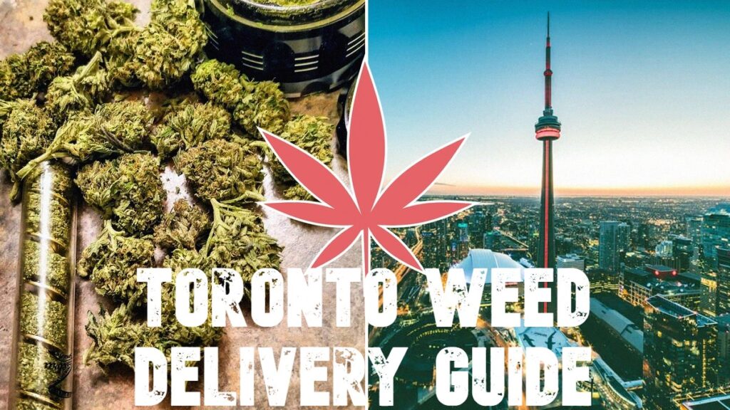 Toronto Weed Delivery Guide