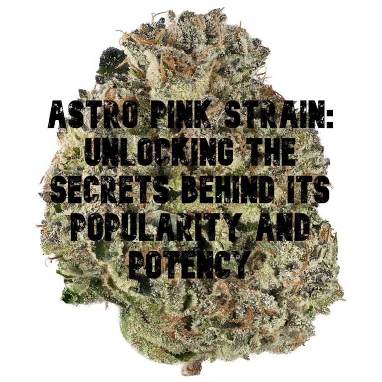 Astro Pink Strain