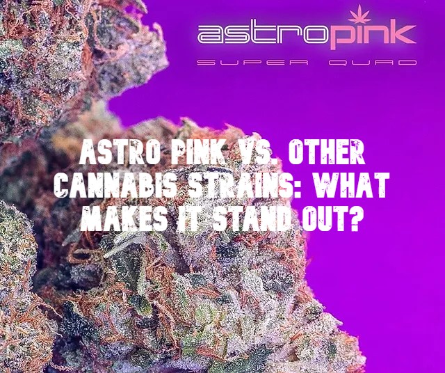 Astro Pink vs. Other Cannabis Strains: What Makes it Stand Out?