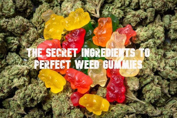 The Secret Ingredients to Perfect Weed Gummies