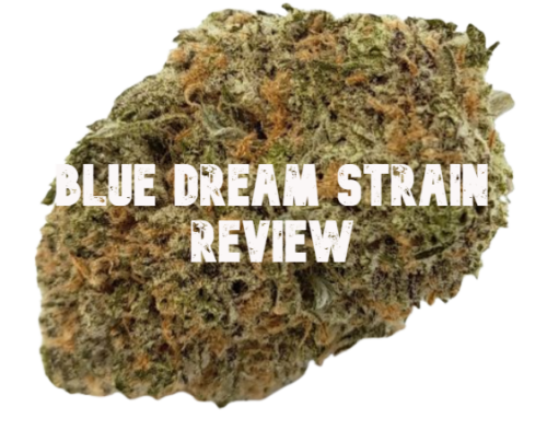 Blue Dream Strain Review - Lit Weed Delivery