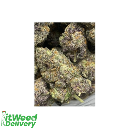 Purple Mac - Hybrid