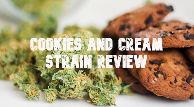 Cookies and Cream Strain Review