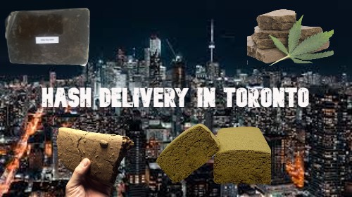 Hash Delivery in Toronto