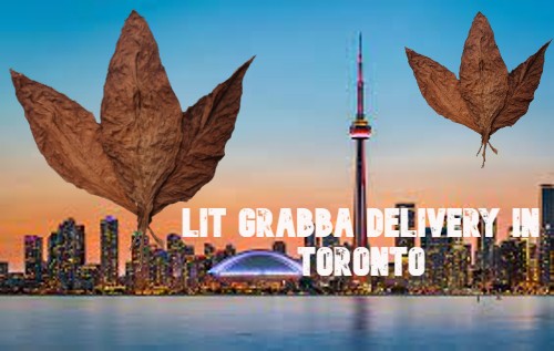 Lit Grabba Delivery In Toronto