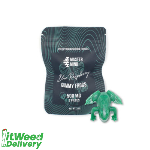 Mastermind Shroom Gummy Frogs