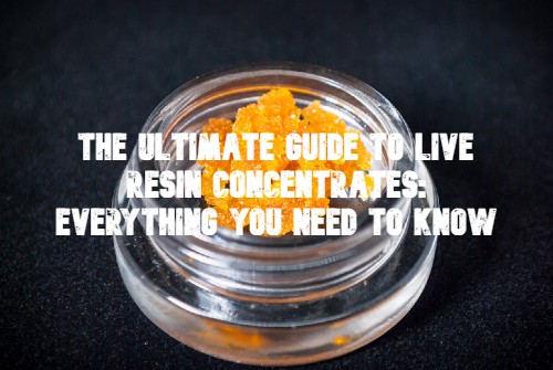 Live Resin Concentrates: Everything You Need to Know