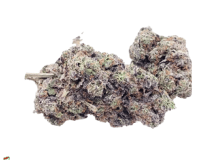 White Truffle – THC 28%