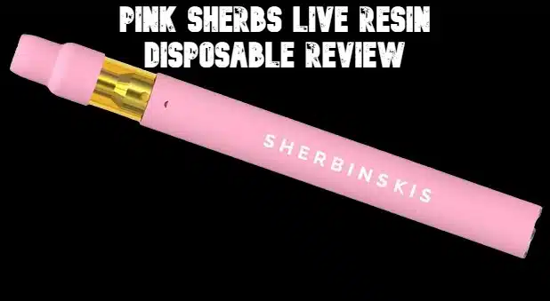 Pink Sherbs Live Resin Disposable Review