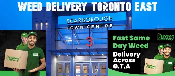 Weed Delivery Toronto East