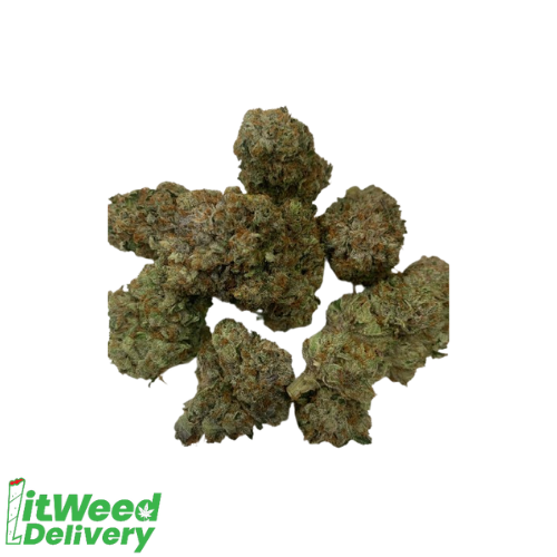 Grand Daddy Pink