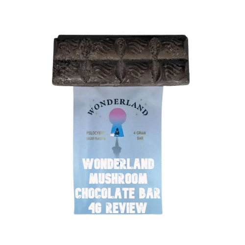 Wonderland Mushroom Chocolate Bar Review