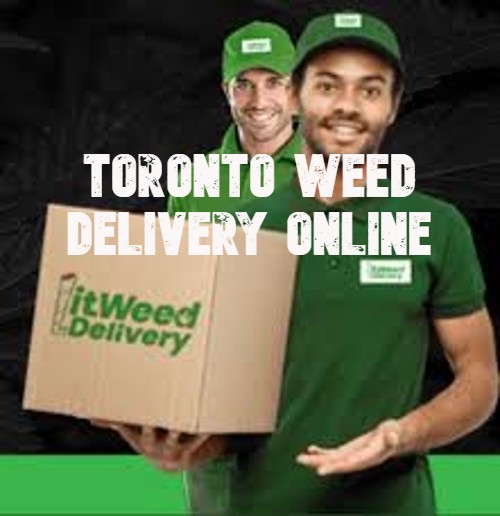 Toronto Weed Delivery Online