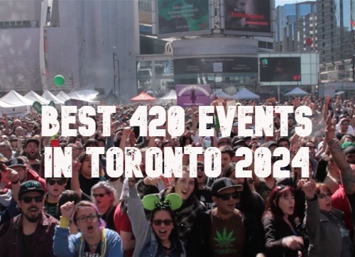 Best 420 Events in Toronto 2024