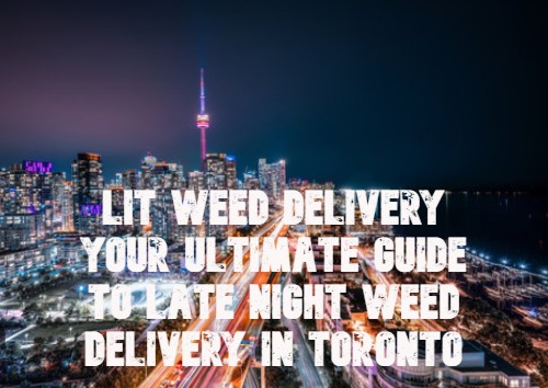 Late Night Weed Delivery Toronto