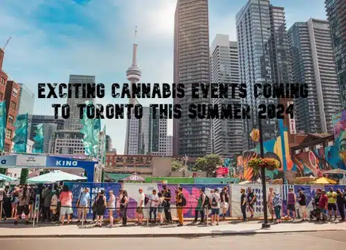 Exciting Cannabis Events Coming to Toronto This Summer 2024