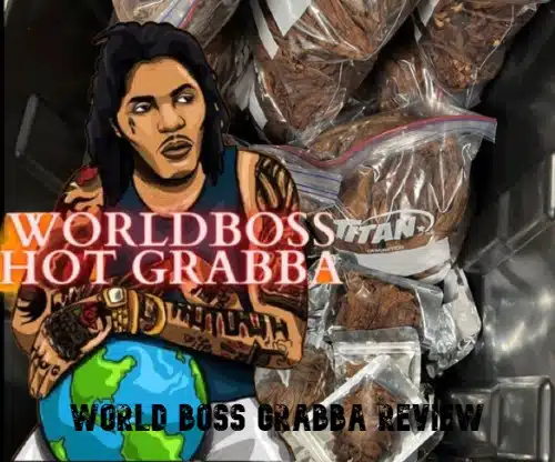 World Boss Grabba Review