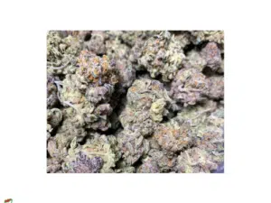 Supreme Pink Small Buds