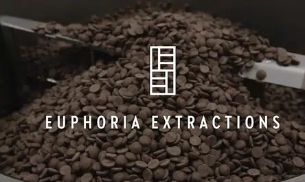 Euphoria Extractions brand