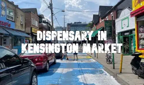 Dispensary In Kensington Market