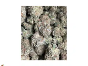 Pink Kush Small buds