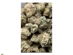 Platinum Cookies small buds