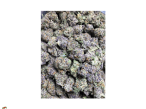 Platinum Pink Small Buds