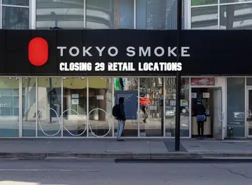 Tokyo smoke closing