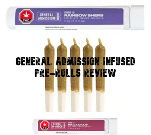 General Admission Infused Pre-Rolls review - lit weed delivery